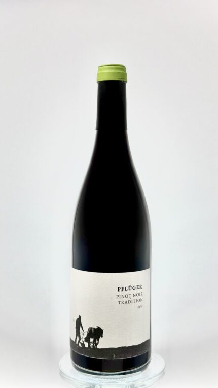 wino czerwone ze szczepu Pinot Noir - Spatburgunder z Palatynatu - Weingut Pfluger