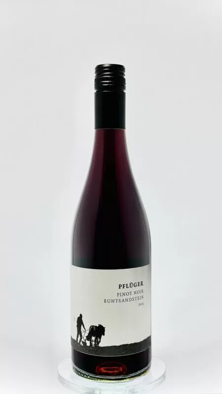 wino czerwone ze szczepu Pinot Noir - Spatburgunder z Palatynatu - Weingut Pflüger