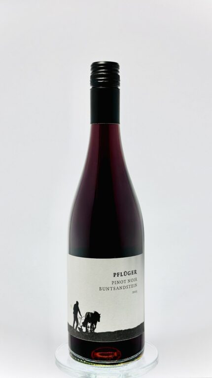 wino czerwone ze szczepu Pinot Noir - Spatburgunder z Palatynatu - Weingut Pflüger