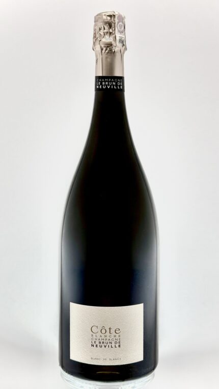 champagne - wino musujące w butelce magnum