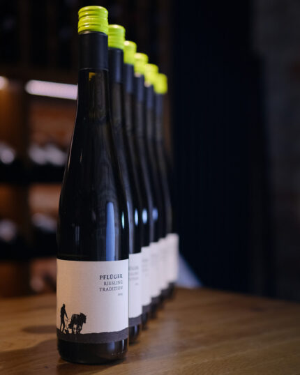 Zestaw 6 butelek Weingut Pflüger Riesling Tradition 2023
