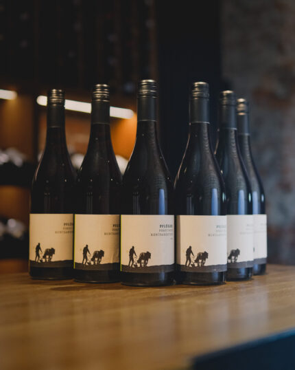 Zestaw 6 butelek Weingut Pflüger Pinot Noir Vom Buntsandstein 2023
